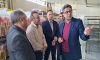 بازدید مدیرعامل شرکت شهرک‌های صنعتی استان اردبیل از یک واحد تولیدی شهرک صنعتی اردبیل1