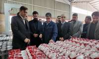 گره‌گشایی در میدان تولید؛ بازدید میدانی استاندار و اعضای کارگروه تسهیل از واحدهای صنعتی اردبیل